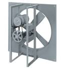 Belt driven wall fan